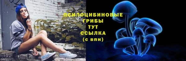 ешки Аркадак