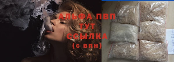 ешки Аркадак