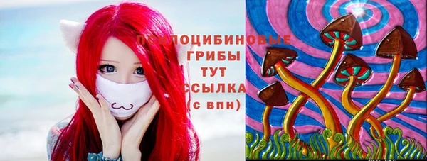 дмт Алексин